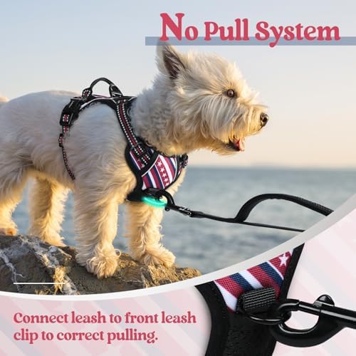 rabbitgoo Dog Harness, No Pull for Small Dogs - Image 5