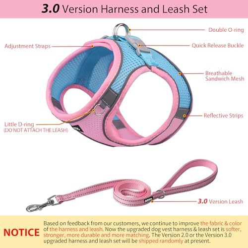 AIITLE Small Dog Harness and Leash Set, Step-in Puppy Pet Vest - Image 4