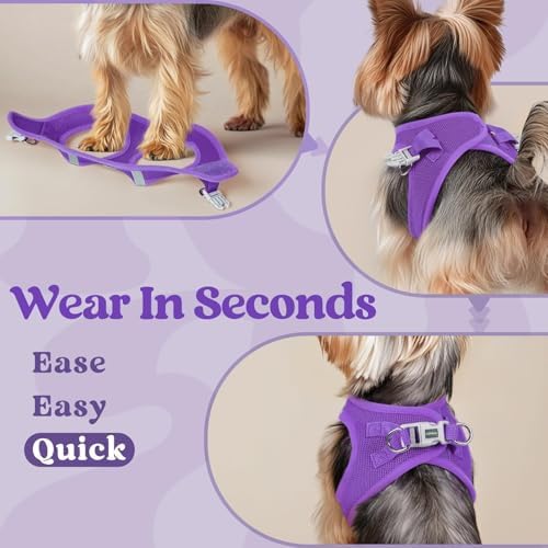 rabbitgoo Step-in Small Dog Harness, Puppy Vest - Image 4