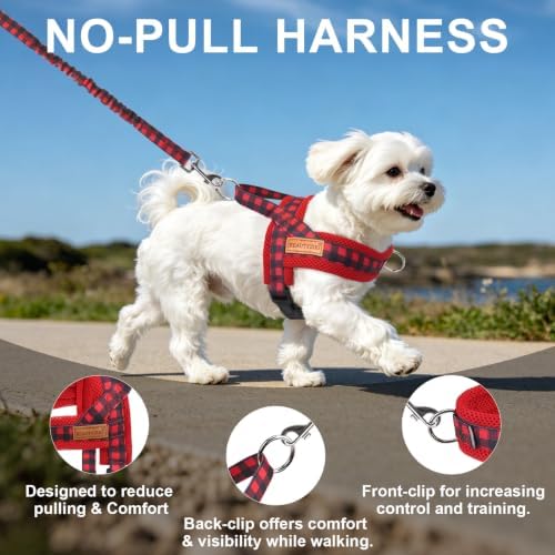 BEAUTYZOO Small Dog Harness and Leash Set, No Pull Step in Puppy Vest - Image 6