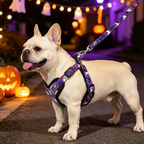 PUPTECK Halloween Dog Harness and Leash Set Small Sized, Step in No Pull - Image 5