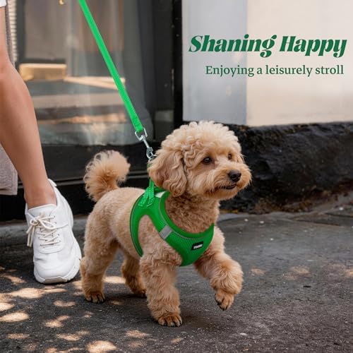 No Pull Dog Puppy Harness and Leash Set Reflective Mesh Vest XX-Small - Image 6