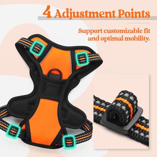 rabbitgoo Dog Harness No Pull - Image 4