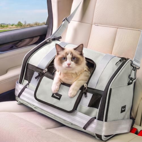 Soft-Sided Travel Cat Carrier by Pawmee