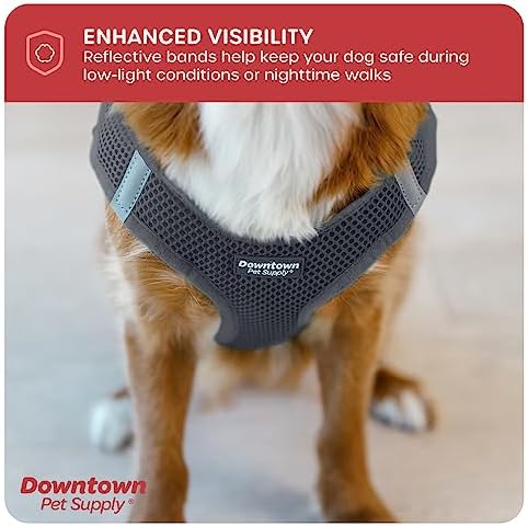 Downtown Pet Supply Step-in Dog Harness – No Pull, Adjustable Padded Mesh - Image 7