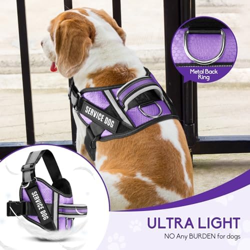 Service Dog Harness and Leash Set, - Image 3