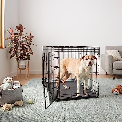 Amazon Basics Portable, Foldable Metal Wire Dog Crate - Image 5
