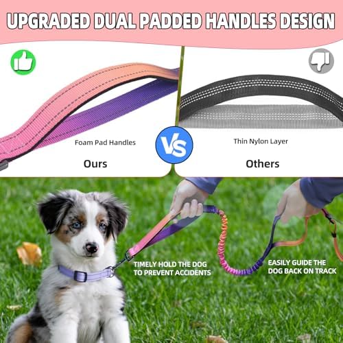 Roses&Poetry Hands Free Dog Leash - Image 4