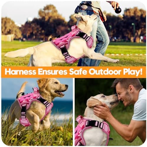 Heavy-Duty Tactical Dog Harness - Image 6
