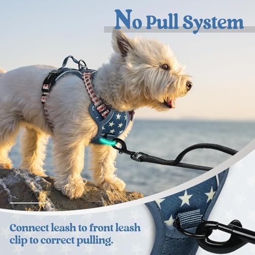 rabbitgoo Dog Harness, No Pull for Small Dogs - Image 5