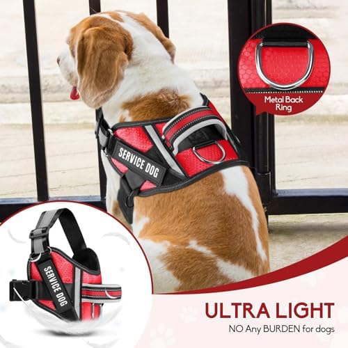 Service Dog Vest Harness and Leash Set, Animire in Training Dog Harness - Image 6