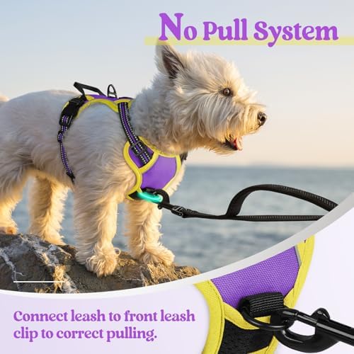 rabbitgoo Dog Harness, No Pull for Small Dogs - Image 5
