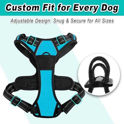 BARKBAY Dog Harness for Large Dog No Pull 2 Leash Clips Dog Vest - Image 6