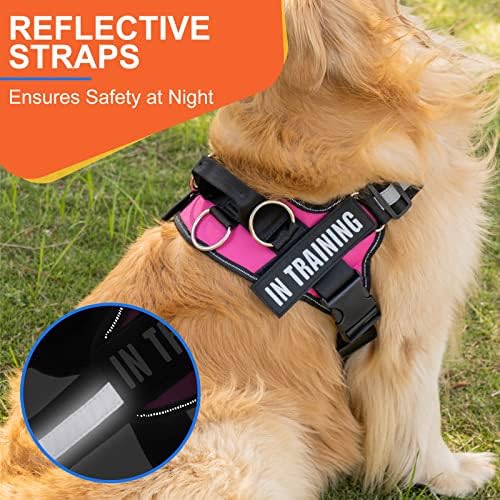 Essential Dog Harness, No Pull Pet Harness - Image 2