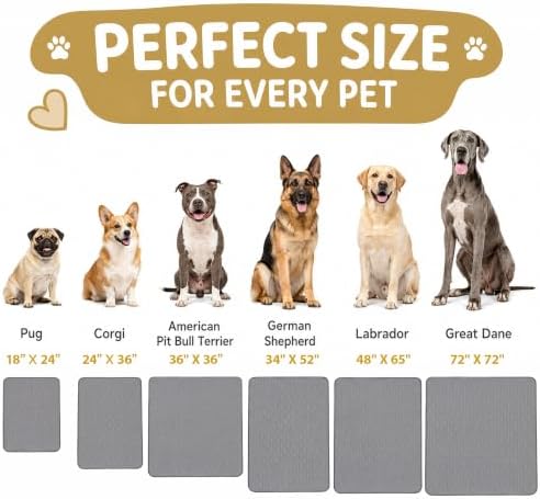 CoolShields Washable Pee Pads for Dogs, 4 Pack - Image 2
