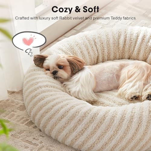 MIXJOY Dog Beds for Small Dogs, Washable Dog Bed - Image 3