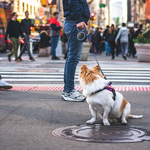 Segarty Dog Leash Retractable 26ft, Dog Leashes - Image 2