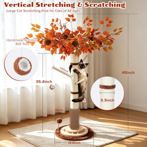 Cat Scratching Post - Image 2