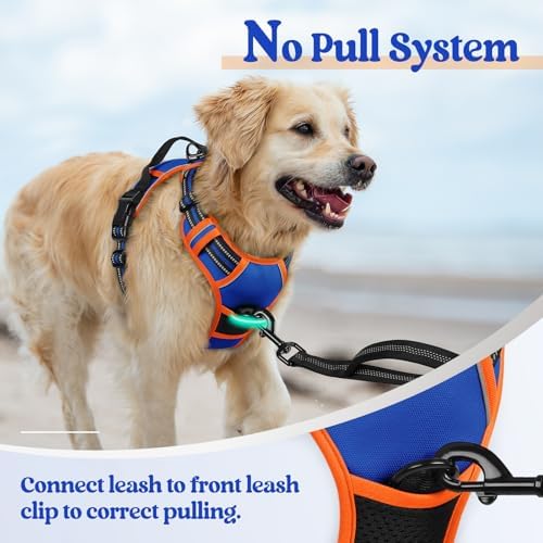 rabbitgoo Dog Harness, No Pull for Small Dogs - Image 5