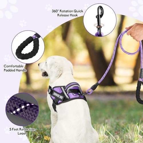 Service Dog Harness and Leash Set, - Image 2