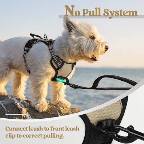 rabbitgoo Dog Harness No Pull - Image 5