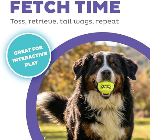 Outward Hound FlyFetch Launch-A-Ball Dog Ball Launcher Toy - Image 2