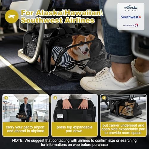 pidipiti 17x11x9.5 Soft-Sided pet Carrier, - Image 2