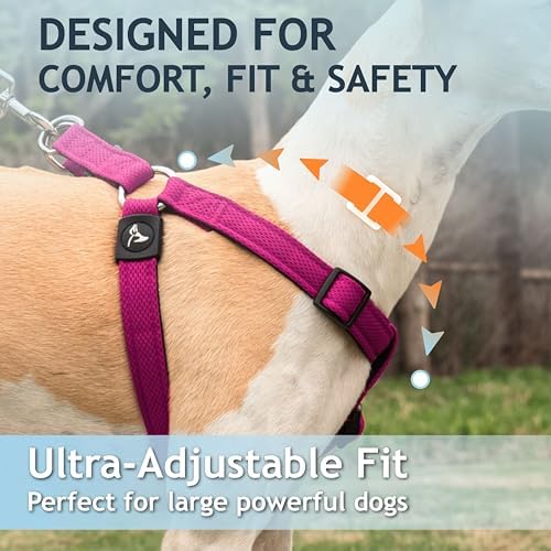 Kruz No Pull Dog Harness Heavy-Duty Pet Harness - Image 4