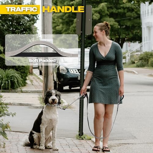 Fida 10 FT Heavy Duty Dog Leash, Dual Padded Handles - Image 4