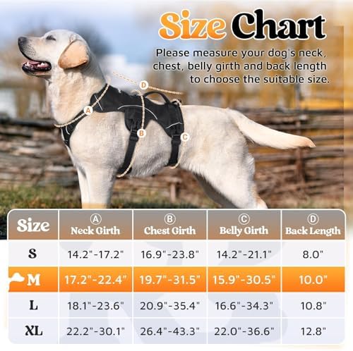 rabbitgoo Escape Proof Dog Harness - Image 2