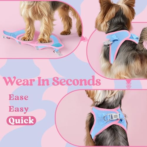 rabbitgoo Step-in Small Dog Harness, Puppy Vest - Image 6