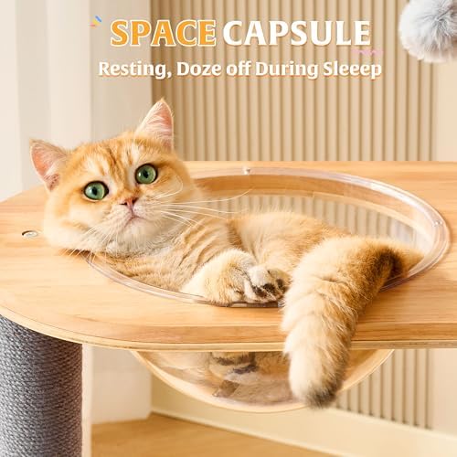 HITTITE Solid Wood Cat Tree Tower - Image 5