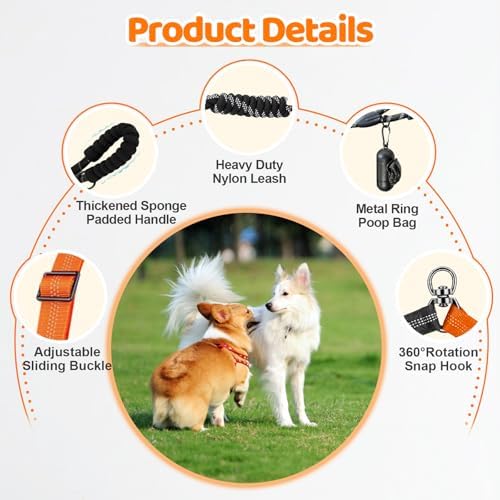 Double Dog Leash - Image 3