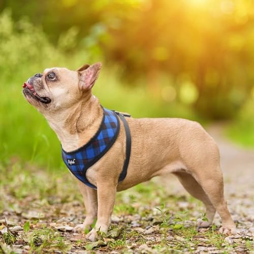 PUPTECK Small Dog Harness and Leash Set No Pull - Image 6