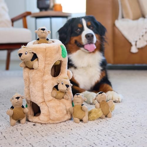 Outward Hound Hide-A-Squirrel Plush Squeaky Dog Toy - Image 6