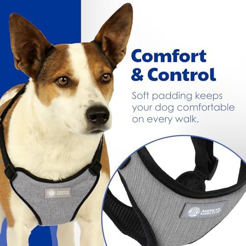 AKC Premium Padded Step-in Dog Harness – Soft Comfort Fit - Image 4