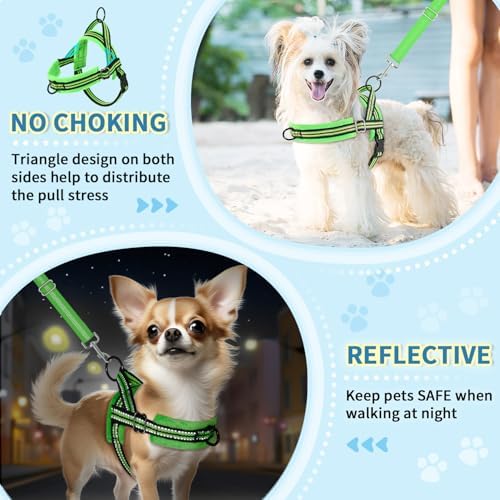 Lukovee Soft Padded Small Dog Harness - Image 6