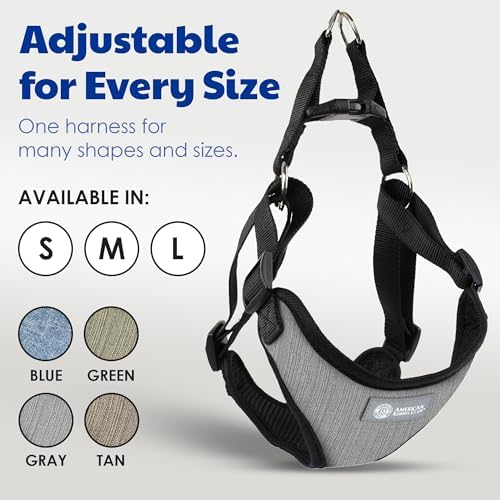 AKC Premium Padded Step-in Dog Harness – Soft Comfort Fit - Image 5