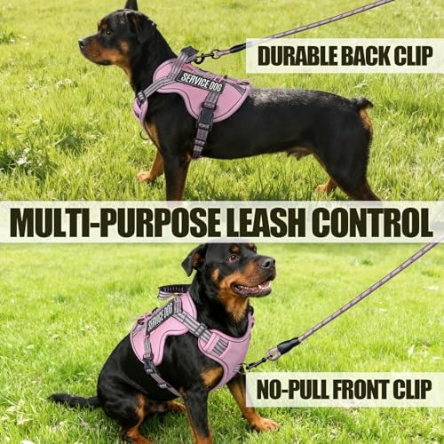 Dog Harness and Leash Set for Medium Dogs, No Pull Tactical Dog Harness - Image 6