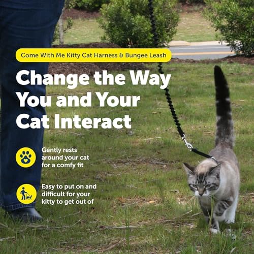 PetSafe Come With Me Kitty Harness and Bungee Leash, Harness - Image 5