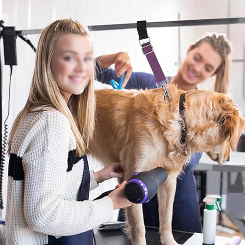 Pet Dog Grooming Loops Adjustable Nylon Restraint Loop Table Arm Accessories - Image 6