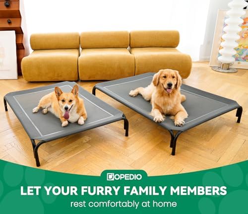 Elevated Dog Bed Outdoor Cooling Raised Cot - Image 6