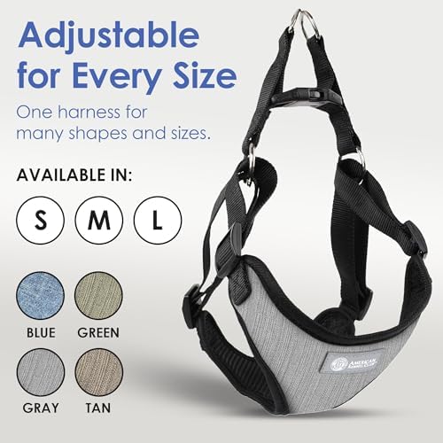 AKC Premium Padded Step-in Dog Harness – Soft Comfort Fit - Image 5