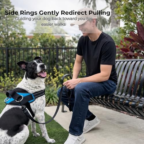 ShawnCo Essential Dog Harness, No-Pull Pet Vest - Image 3