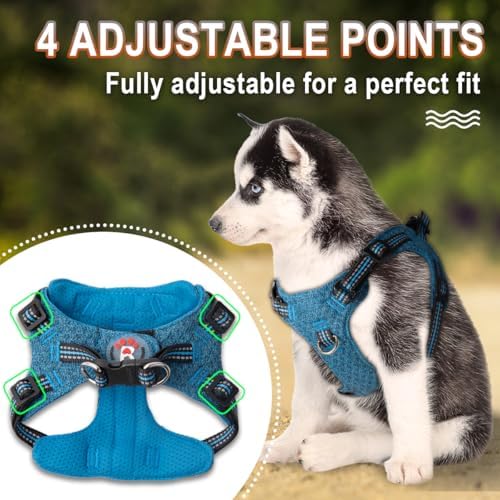 BARKBAY Small Dog Harness, No Pull Puppy Harness, Step-in Dog Vest - Image 3