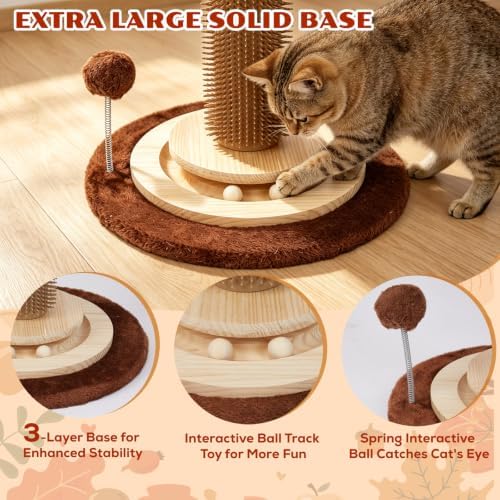 Cat Scratching Post - Image 3