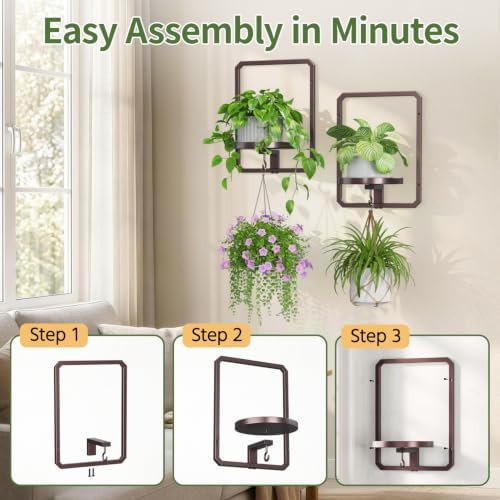 LASZOLA Plant Picture Frame Holder Shelf Wall Window Indoor - Image 4