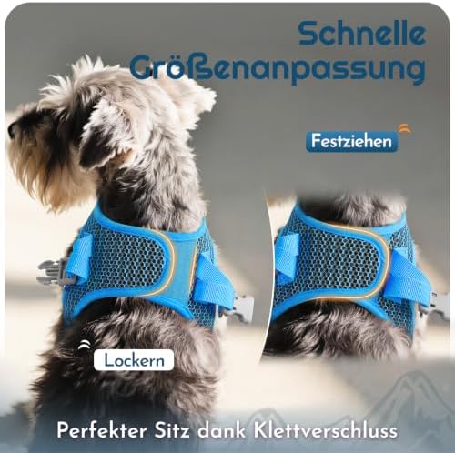Eagloo Small Dog Harness and Leash Set, Step in Medium Small Puppy Pet Vest - Image 5