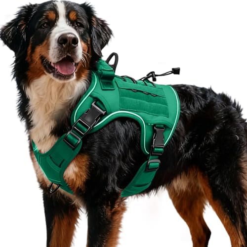 Heavy-Duty Tactical Dog Harness by Bruvoalon