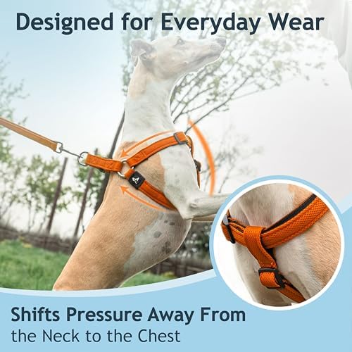 Kruz No Pull Dog Harness Heavy-Duty Pet Harness - Image 6